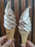 قیفی سفید کاکائو